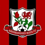 Aberbargoed Buds
