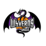 Yamagata Wyverns