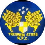 Treowen Stars