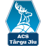 CSM Targu Jiu