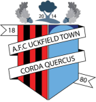Uckfield Town