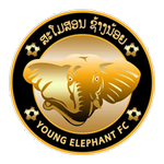 Young Elephant