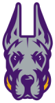 Albany Great Danes