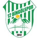 12 Bingolspor
