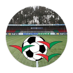 Zuidvogels