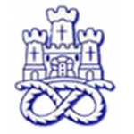 Newcastle Town